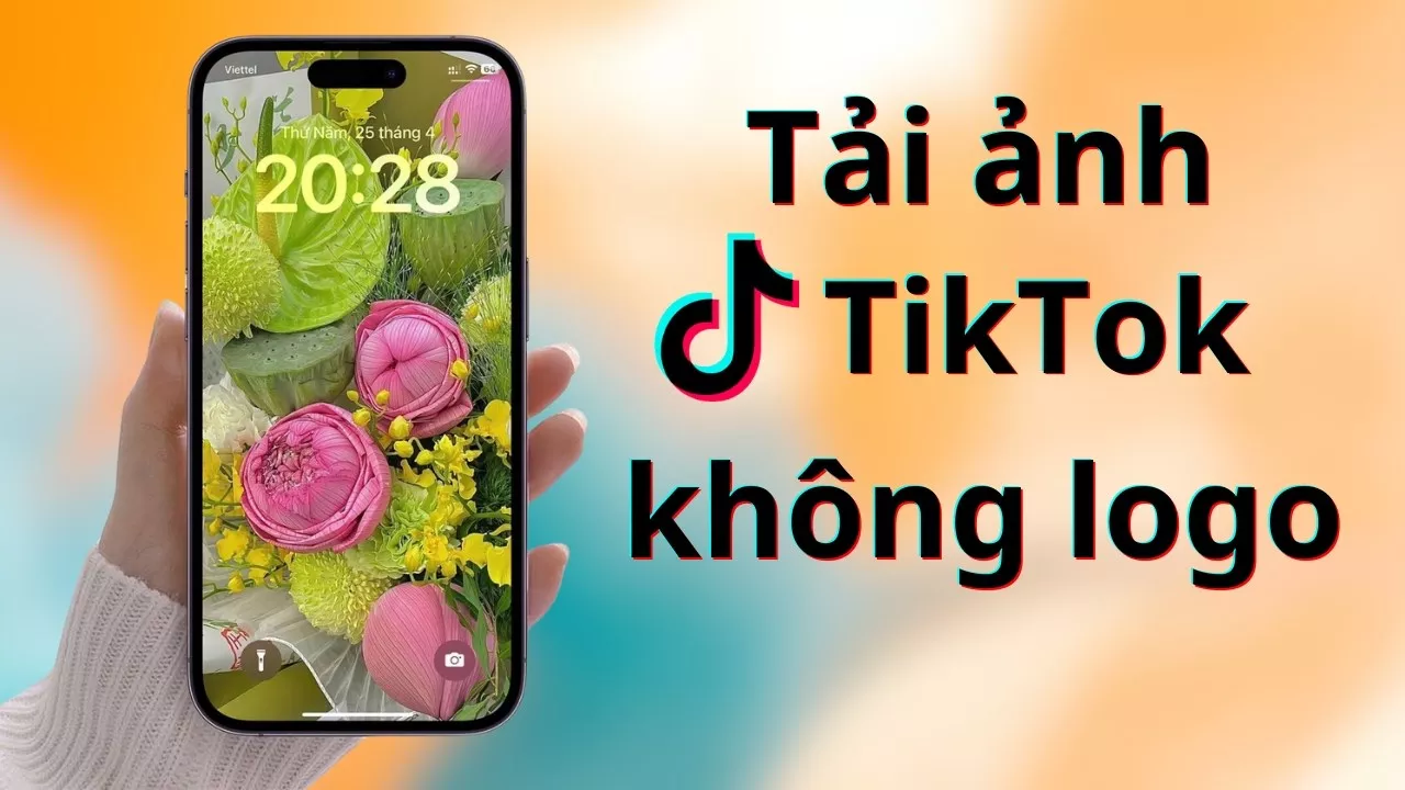 Hướng Dẫn Toàn Diện: Cách Tải Ảnh và Video TikTok Không Logo Mới Nhất